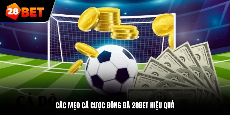 Các mẹo cá cược bóng đá tại 28Bet hiệu quả